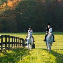 Find out more about Equestrian